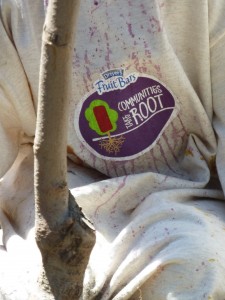 The Communities Take Root program will help plant the Wrangell Orchard.