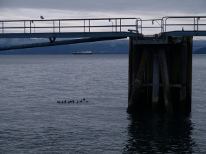 OLYMPUS DIGITAL CAMERA Wave Venture outside of Wrangell - Photo by Shady Grove Oliver, KSTK