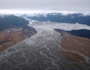 1-19-13 Stikine River Delta from the air 4 The Stikine River Delta, as seen from the air. The chinook subsistence fishery on the river has been closed. Photo by Ed Schoenfeld, CoastAlaska News.