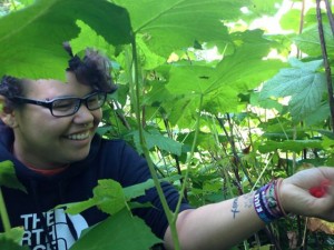 Sarah Williams-Churchill picks thimbleberries - Photo by Shady Grove Oliver/KSTK News