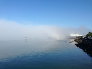 Marine layer over the ferry terminal - Photo by Shady Grove Oliver/KSTK