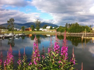 Wrangell Fireweed - Photo by Andrea Laughlin Contest Winner 03/09/14 - 03/15/14