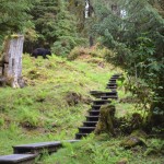 anan trail