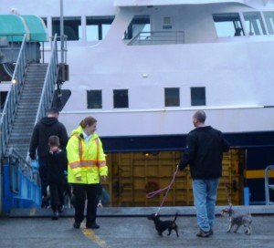 A marine highway staffer watches as passengers and dogs reboard the ferry Matanuska before departing Wrangell Jan. 16, 2013. (Ed Schoenfeld/CoastAlaska News)