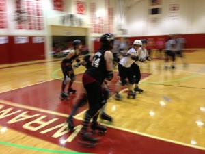 Garnet Grit Betties in the pack - Photo by Shady Grove Oliver/KSTK