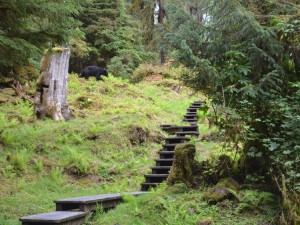 anan trail