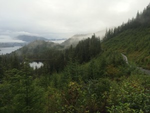 tongass