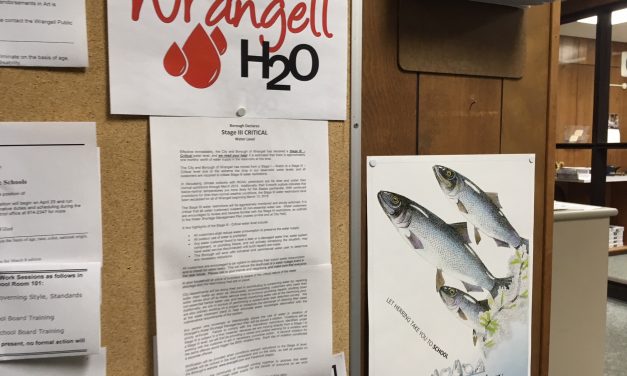 Wrangell cut its water consumption in half, according to report