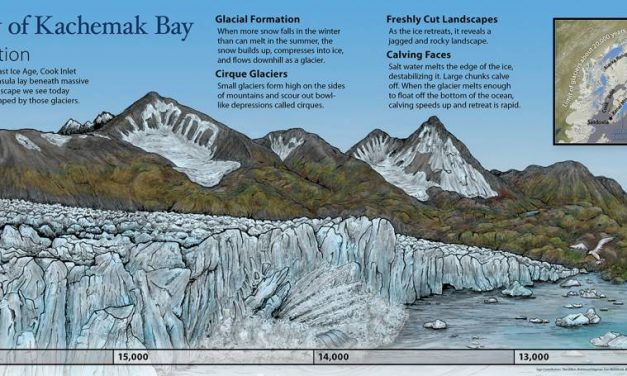 Homer artist merges illustrations with scientific observation