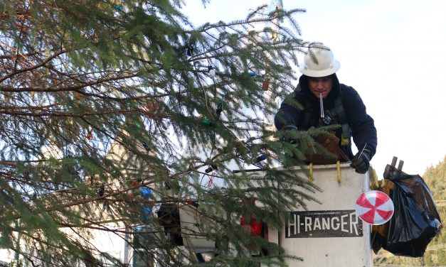 Wrangell’s Christmas tree tradition, in photos