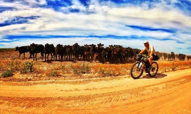 Talk on the Rock 90: Stephen Todd and Nick Howell on biking the Baja Divide