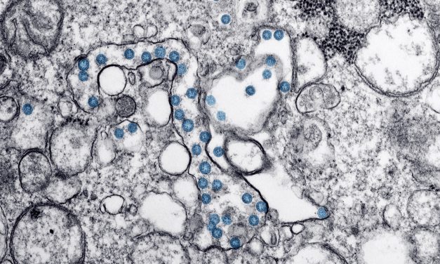 Wrangell coronavirus related cancellations