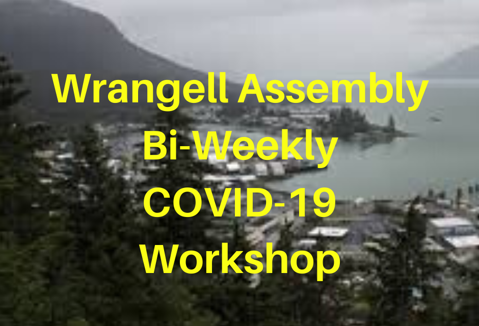 Borough Assembly Covid-19 Update 4/20/20
