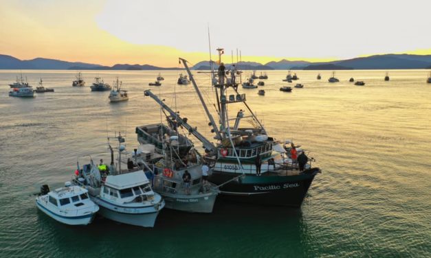 Gathering of the Fleet
