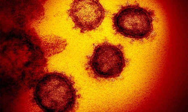 Wrangell officials announce 27th case of COVID; only positive currently in community