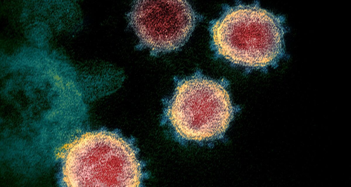 Two close contacts test positive, local COVID case count at 4