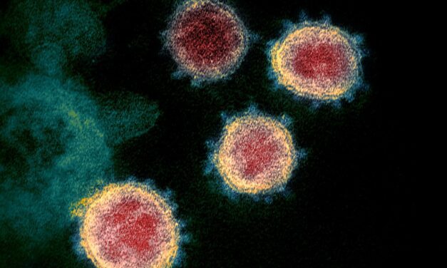 State reports 34 COVID cases in Wrangell in the last week