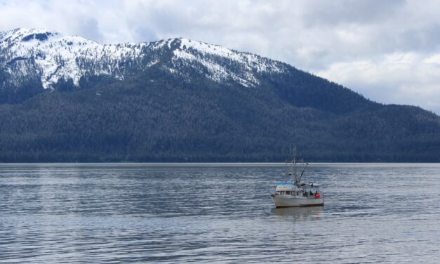 Wrangell Fish and Board Advisory Committee opposes proposal reducing hatchery egg production; proponents say wild stock salmon are threatened