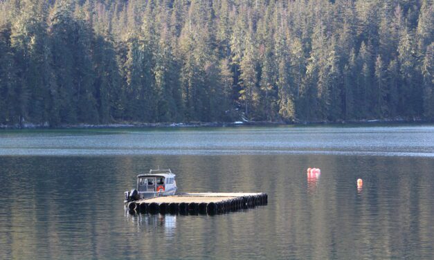 Forest Service proposes adding new cabin on Wrangell road system