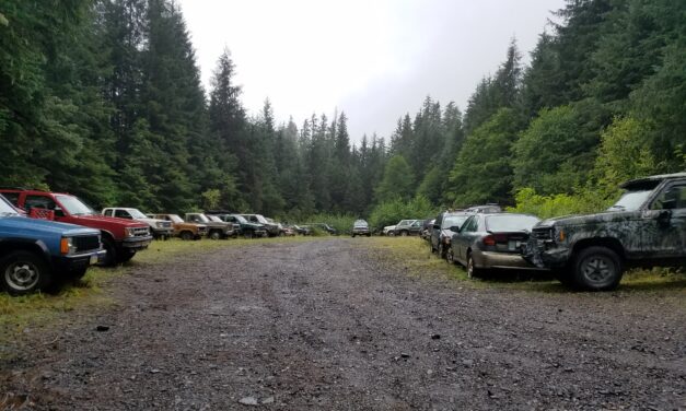Forest Service works towards Roosevelt Harbor restoration this summer