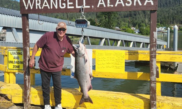 43.4-pound king leads Wrangell’s Derby after a week of fishing