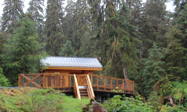 Forest Service completes work on new Anan viewing deck