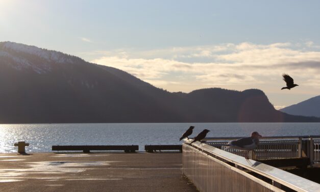 Wrangell Harbor Department works towards security system design for local facilities