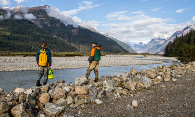 New study details mining impacts to salmon habitat, even hundreds of miles downstream