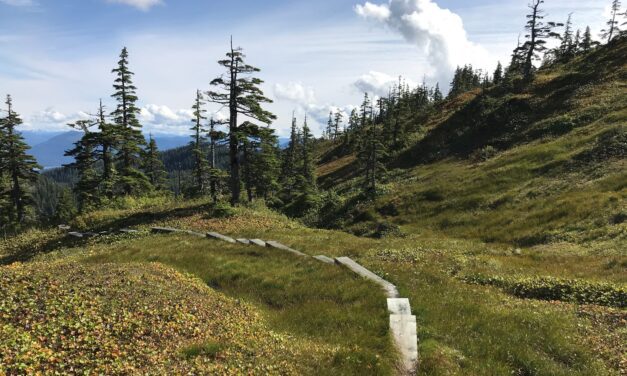 Forest Service seeks comment on four potential Wrangell Island cabin sites