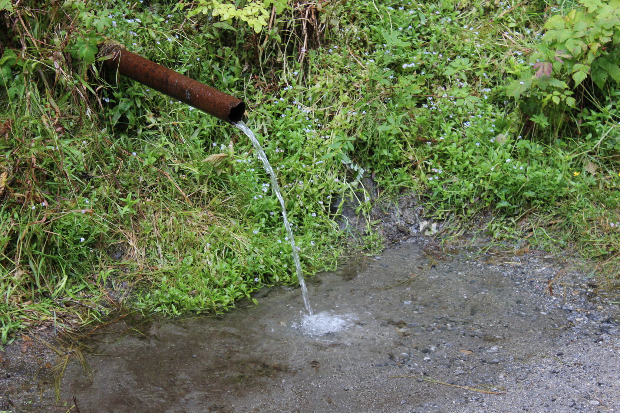 10Mile pipe shows elevated bacteria levels, WCA boiling