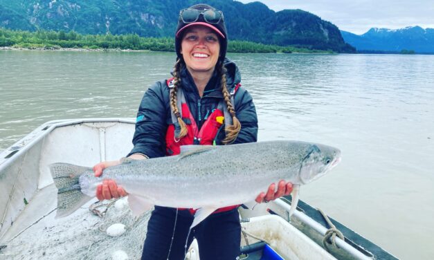 KSTK Welcomes Anna Tollfeldt