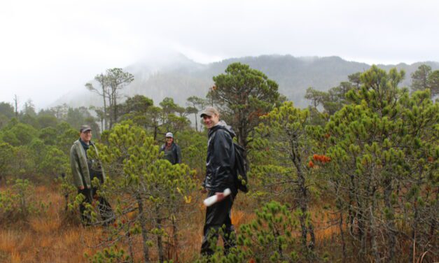 Designing an expanded trail system for Wrangell is no walk in the park