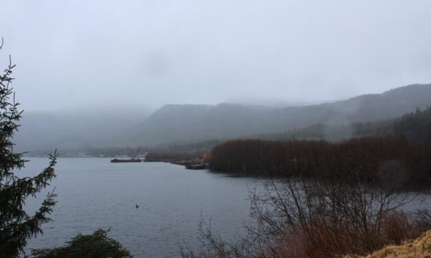 Borough asks for feedback on proposed lease or sale of Wrangell properties