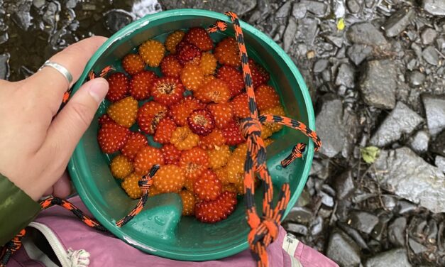 Weekend classes aim to give Wrangell residents safe food preservation skills