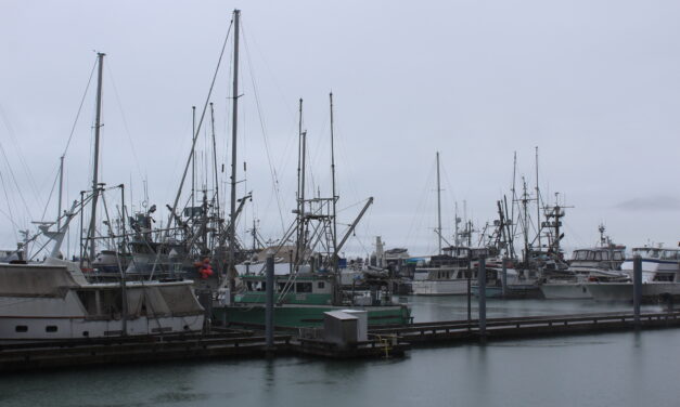Wrangell speaks out against lawsuit targeting king salmon troll fishery