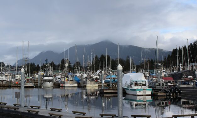Wrangell’s anode installation has begun