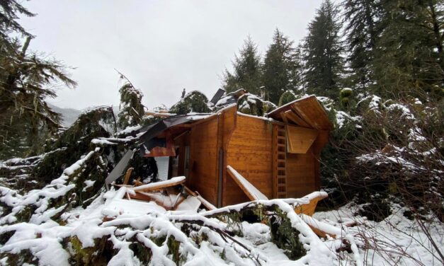 Anan Bay Cabin out of commission, severely damaged by blowdown