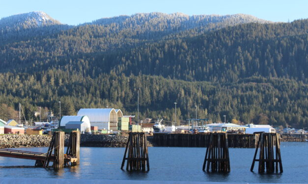 Wrangell Assembly preview: Water plant parts, wages & more