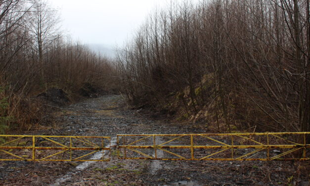 Wrangell to receive federal assistance planning 6-Mile property developments