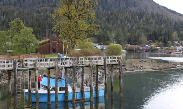 ADF&G predicts weak pink salmon harvest, tightens Chinook harvest restrictions