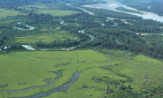 Wrangell wades into local impacts of Supreme Court’s wetlands ruling
