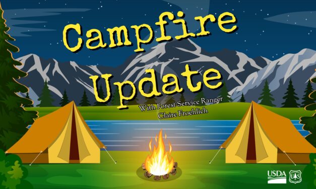 Campfire Updates