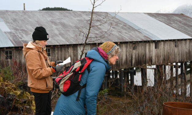 In its 124th year, Wrangellites contribute to the annual Audubon Christmas Bird Count; helping draft a census to measure bird populations