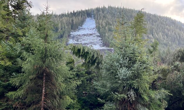 Minor slide activity occurred last week, but authorities say it’s nothing to worry about; Wrangell has a few positives to look forward to