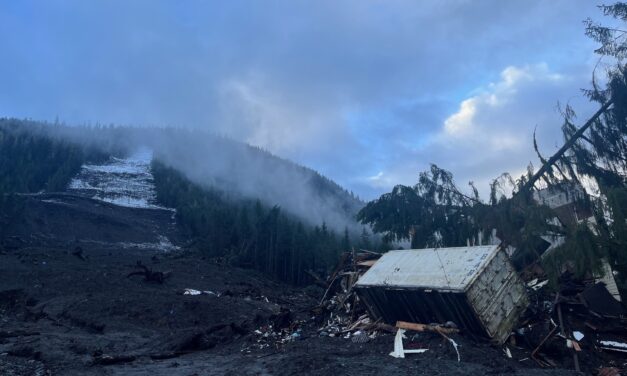 After Wrangell’s deadly landslide, dogs helped the search and rescue team