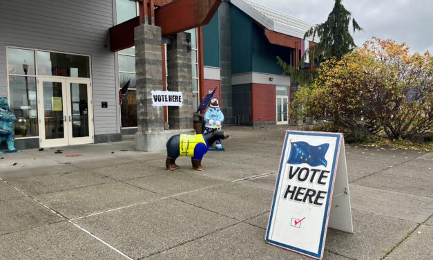 Wrangell’s voter turnout decreased from last general election; unofficial results