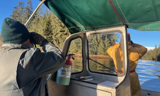 Wrangell birders tally up for 125th Christmas Bird Count