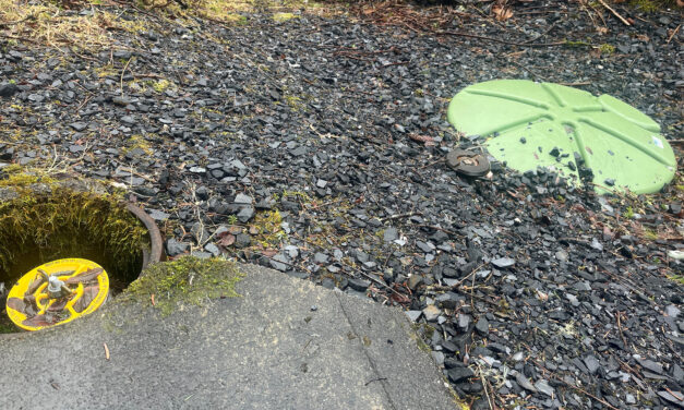 Wrangell might divest from majority of grinder pumps; leaving responsibility to property owners