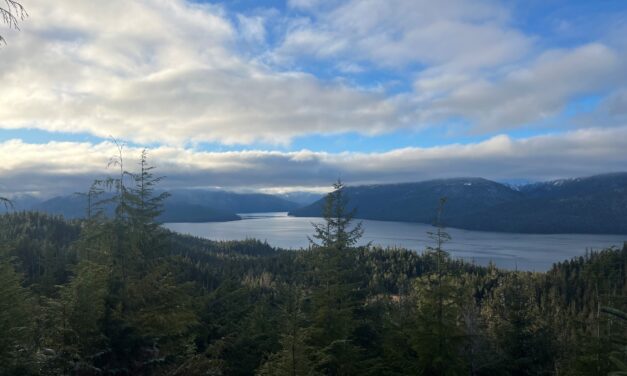 Wrangell Cooperative Association organizes walk this evening for Tongass National Forest