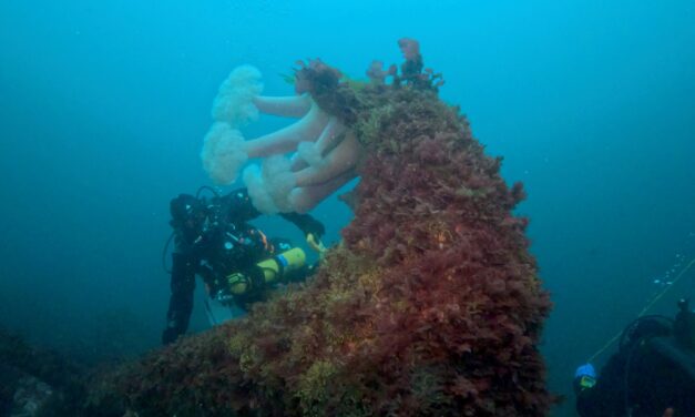 Underwater archeological research team explores more of shipwreck site; recovering Star of Bengal’s bell